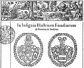 Vlys monogramisty IK ve Slovaciově Vysvětlení (Praha 1615–1620). Slovacius, Václav: Vysvětlení prosté Biblí malé, jinák Řeči z obojího Zákona Božího (Praha, Jan Ctibor Kbelský 1620). Díl druhý (1620), detail z rubu titulního listu. Vlys značen „IK 1620“ v pravém spodním rohu. Královská kanonie premonstrátů na Strahově – Strahovská knihovna (Praha), sign. AA XII 2.