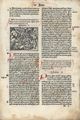 Apokalyptičtí jezdci v Bibli české zvané Benátská (Venezia 1506). Bible česká (Venezia, Peter Liechtenstein 1506). Fol. Ll6a s textem o Rozlomení šesté pečeti (Zj 6, 12–17) a dřevořezem, v němž je papež za asistence apokalyptických jezdců polykán tlamou pekelnou. Předlohu vyobrazení lze stopovat už v Kobergerově Bibli norimberské (Nürnberg 1483) či v Bibli české Martina z Tišnova (Kutná Hora 1489). Červené doplňky textu byly pořízeny dodatečně rukou. Královská kanonie premonstrátů na Strahově – Strahovská knihovna (Praha), sign. DR V 6.