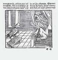 Bajka o lvu a krkavci v Directoriu (Strasbourg ca 1489) a v Konáčově Pravidle (Praha 1528). Vlevo Johannes de Capua: Directorium humanae vitae, lat. (Strasbourg?, Johann Prüss st. ca 1489). Fol. d4a. Královská kanonie premonstrátů na Strahově – Strahovská knihovna (Praha), sign. S LXXXI d 11. Vpravo Johannes de Capua: Pravidlo lidského života jinak Podobenstvie starých mudrcuo (Praha, Mikuláš Konáč z Hodiškova 1528). Fol. E3a. Královská kanonie premonstrátů na Strahově – Strahovská knihovna (Praha), sign. DR I 20.