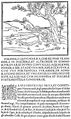 Dvoustrana Manuziova tisku Colonnovy Hypnerotomachie (Venezia 1499). Colonna, Francesco: Hypnerotomachia Poliphili (Venezia, Aldo Manuzio st. 1499). Fol. a6b–a7a. Dvoustrana s jedinečně vyváženým typografickým obrazcem a harmonií písma, iniciály a dřevořezových ilustrací. Národní knihovna ČR (Praha), sign. 43 C 25.